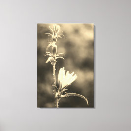 Lienzo Romantic Trees & Flowers – Botanical Fantasy Boho 