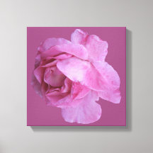 Romántico rosa moderno floral boho chic elegante