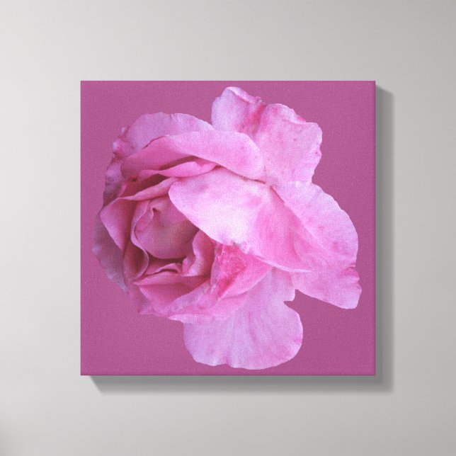 Lienzo Romántico San Valentín rosa rosa moderno boho flor (Anverso)