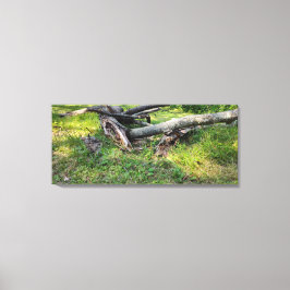 Lienzo Rompecabezas del árbol caído