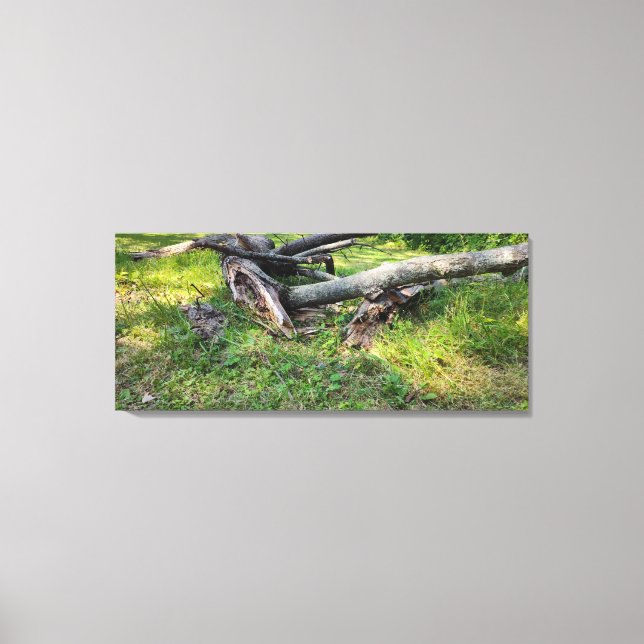 Lienzo Rompecabezas del árbol caído (Anverso)