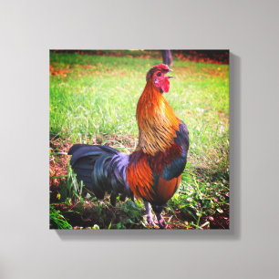 Lienzo Rooster Crowing Farm Animal
