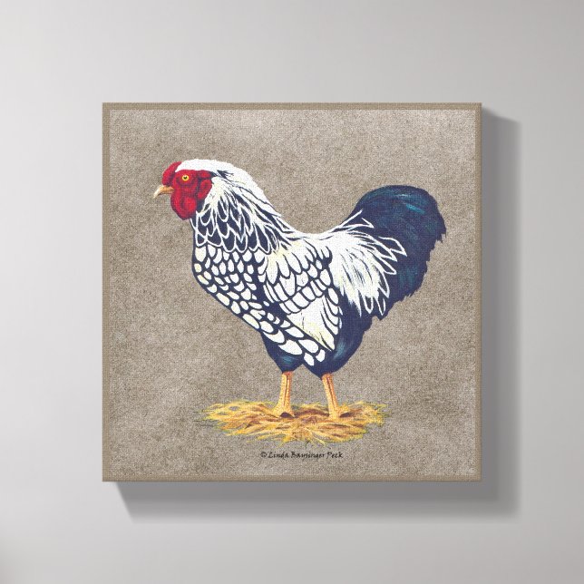 Lienzo Rooster de Wyandotte, con un inclinamiento platead (Anverso)