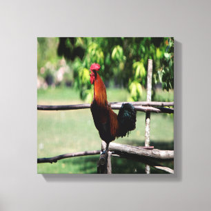 Lienzo Rooster Morning