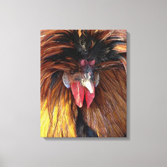 Lienzo Rooster polaco (Anverso)