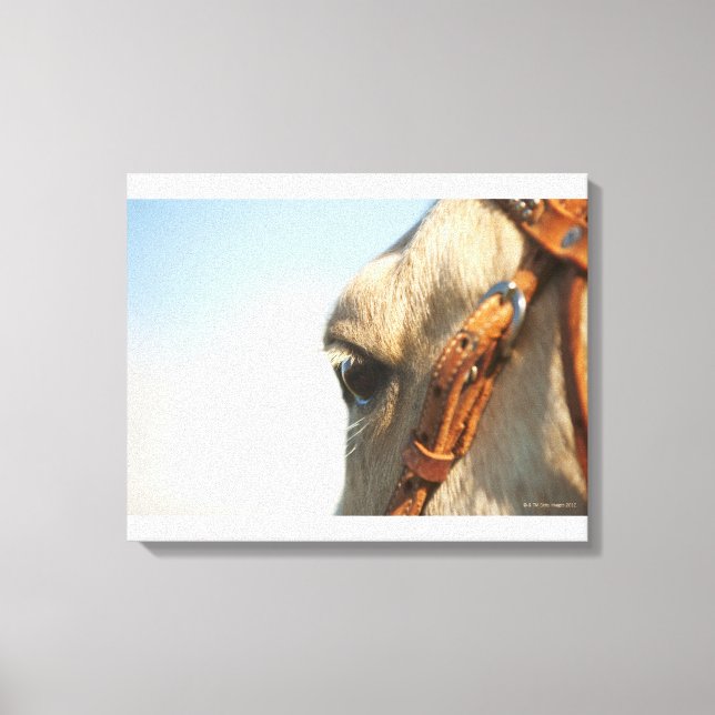 Lienzo Ropa de caballo (Anverso)