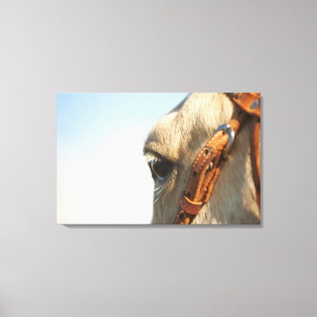 Lienzo Ropa de caballo (Anverso)