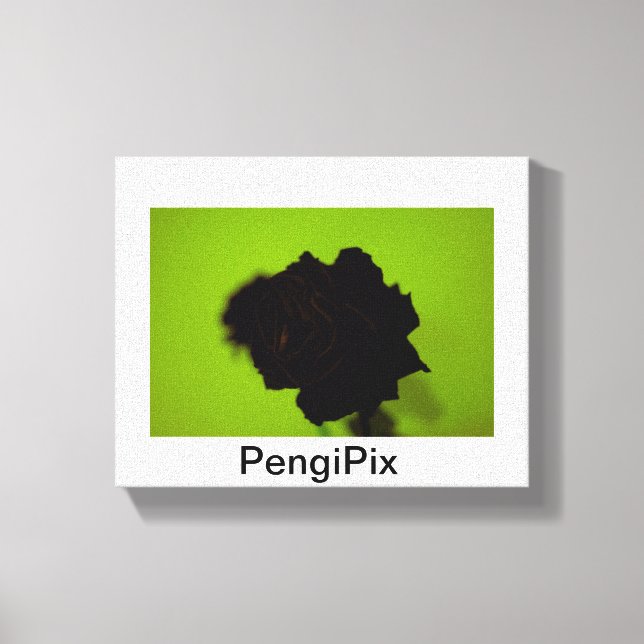 Lienzo Rosa (Anverso)