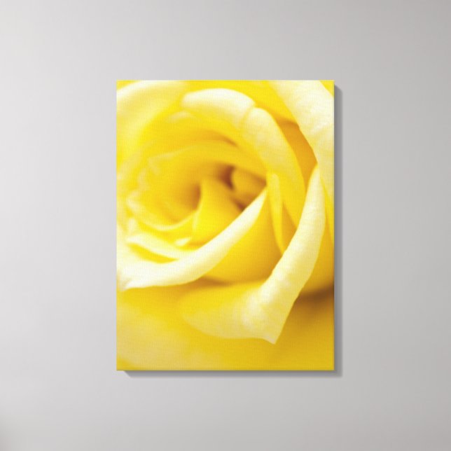 Lienzo Rosa amarilla (Anverso)