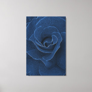 Lienzo Rosa azul de terciopelo