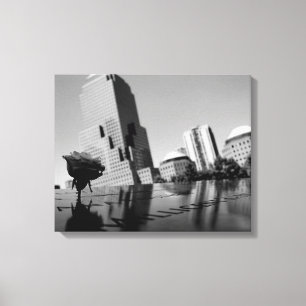 Lienzo Rosa blanca del recuerdo