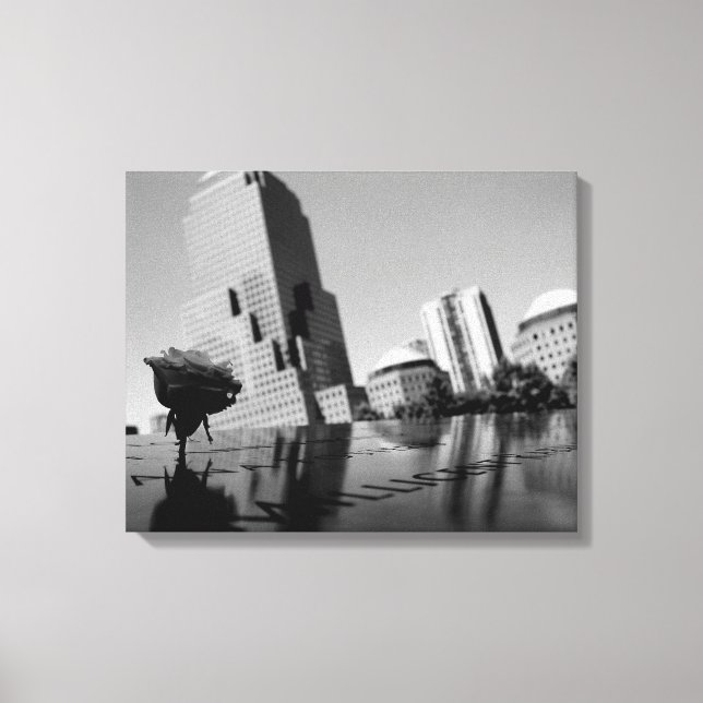 Lienzo Rosa blanca del recuerdo (Anverso)