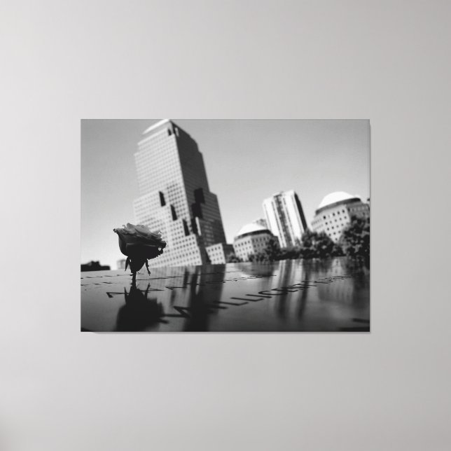 Lienzo Rosa blanca del recuerdo (Anverso)