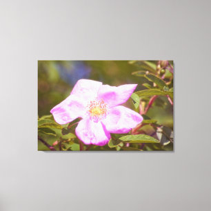 Lienzo Rosa Briar