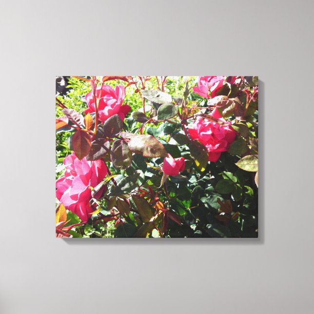 Lienzo Rosa Bush (Anverso)