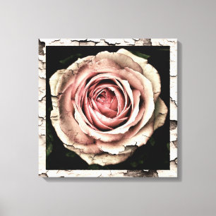 Lienzo Rosa de cosecha