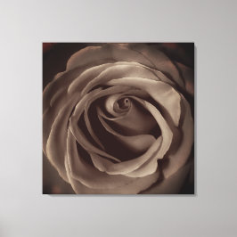 Lienzo Rosa de cosecha