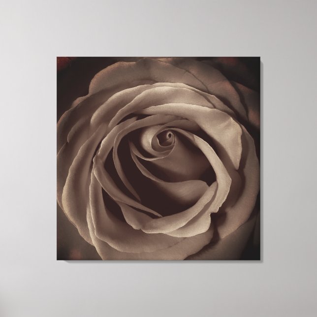 Lienzo Rosa de cosecha (Anverso)