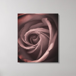 Lienzo Rosa de Rubor de época