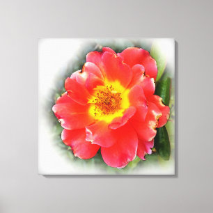 Lienzo Rosa en otoño