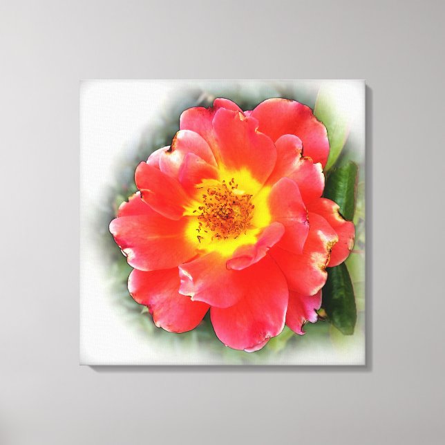 Lienzo Rosa en otoño (Anverso)