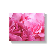 Rosa floral moderna bonita elegante