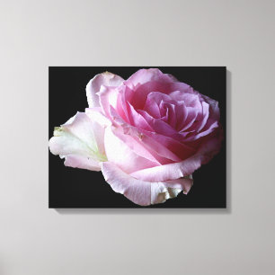 Lienzo Rosa floral moderna simple elegante chic