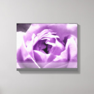 Lienzo Rosa morado