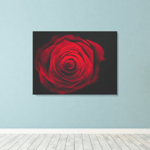 Lienzo Rosa roja sobre fondo negro efecto vintage