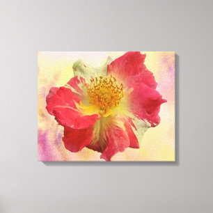 Lienzo Rosa Rojo Y Blanco