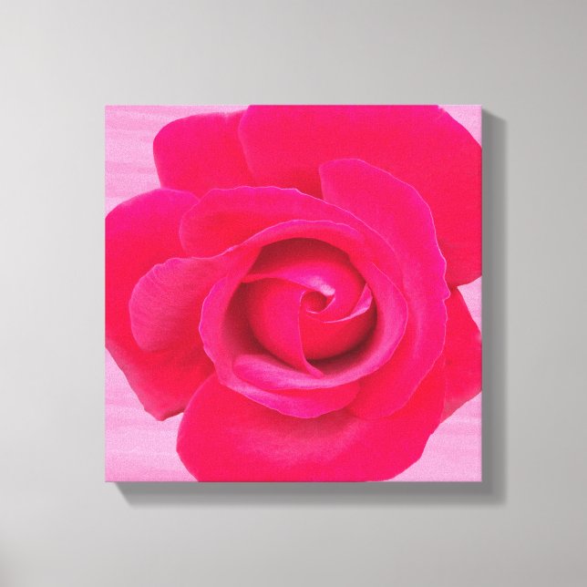 Lienzo Rosa Rosa Roja Romántica (Anverso)