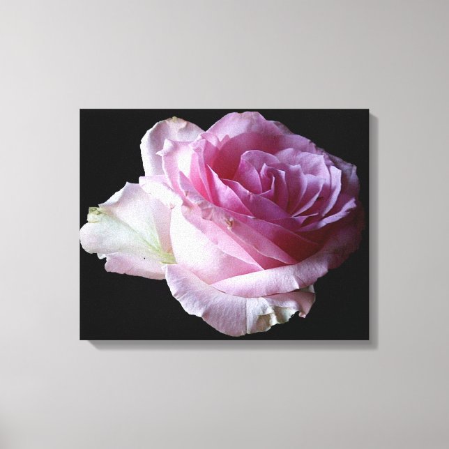Lienzo rosa rosa rosa bonito floral moda moderna y elegan (Anverso)