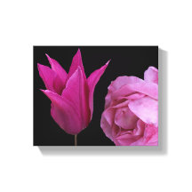 rosa rosa rosado y flor tulipán flor floral modern