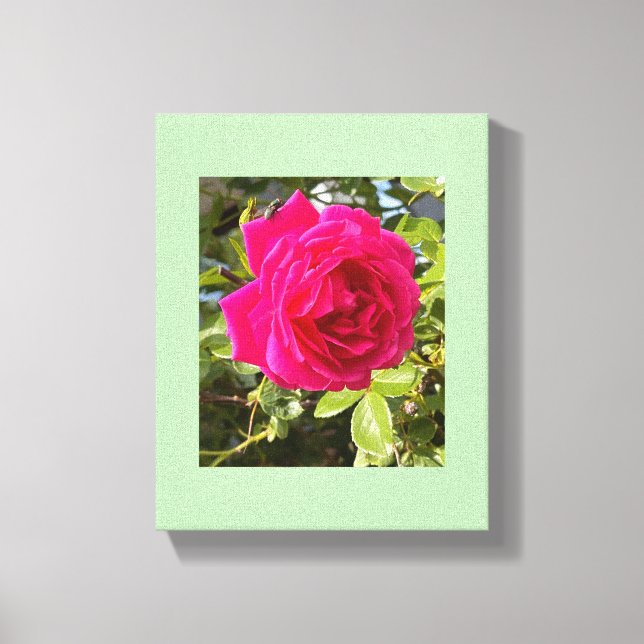 Lienzo Rosa rosa y una mosca (Anverso)