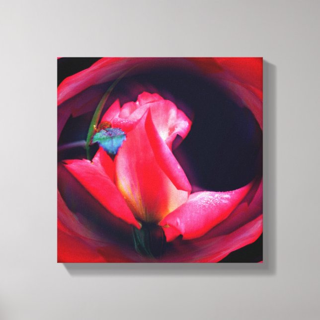 Lienzo Rosa Rosebud Abstract Floral (Anverso)