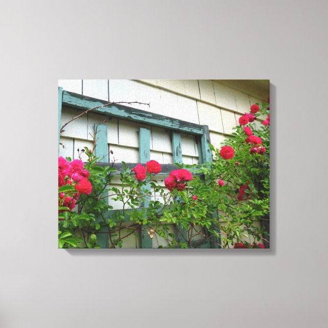 Lienzo Rosa Trellis - Viñedo de Martha (Anverso)