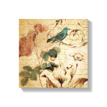 rosa victoriano París Botánica francesa