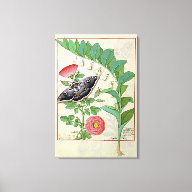 Lienzo Rosa y Polygonatum (Anverso)