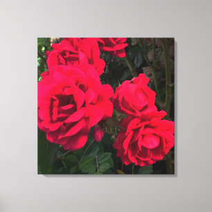 Lienzo Rosario Roses Rojos