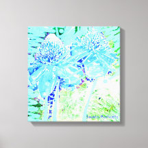 Rosas de agua azul turquesa mágica Resort