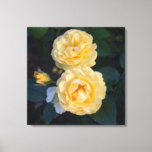 Lienzo Rosas de oro blando (Anverso)