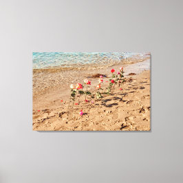 Lienzo Rosas de Sea Canvas