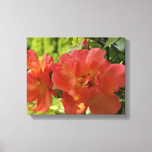 Lienzo Rosas De Verano Rosa Flower Photo Single Print