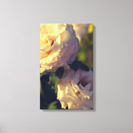 Lienzo Rosas en un jardín