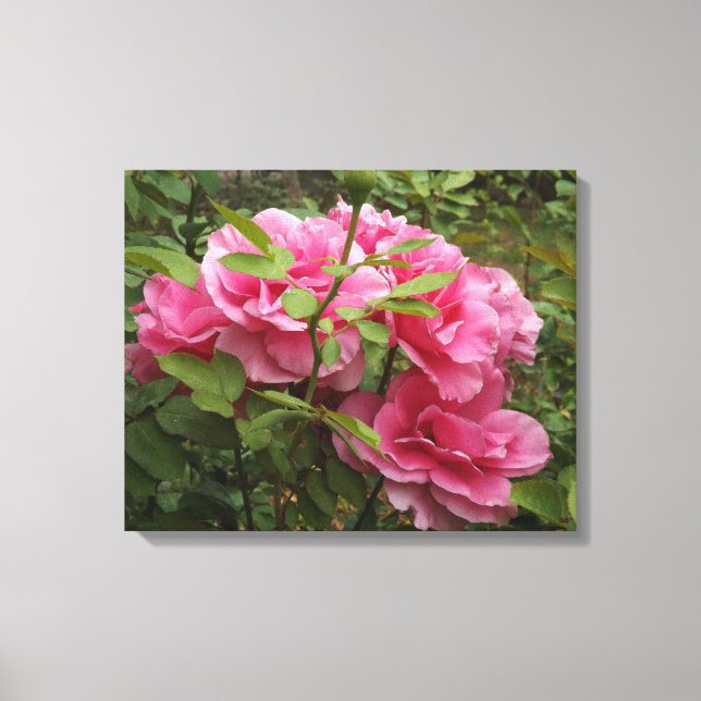 Lienzo Rosas rosas rosas (Anverso)