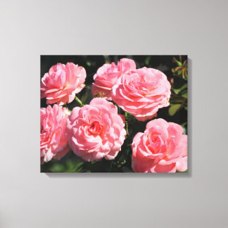 Lienzo Rosas rosas rosas en flor