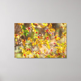 Lienzo Rosehip Autumn