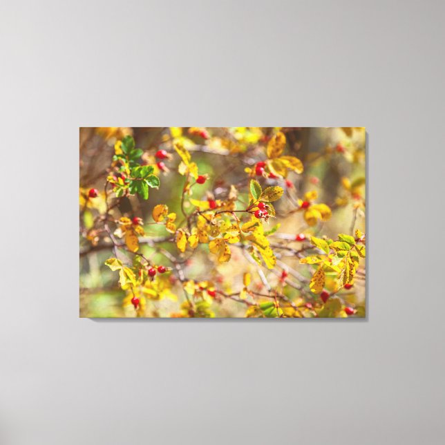 Lienzo Rosehip Autumn (Anverso)