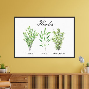 Lienzo Rosemary Thyme Sage Herbs Cocina Culinaria Chef