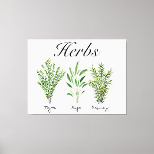 Lienzo Rosemary Thyme Sage Herbs Cocina Culinaria Chef